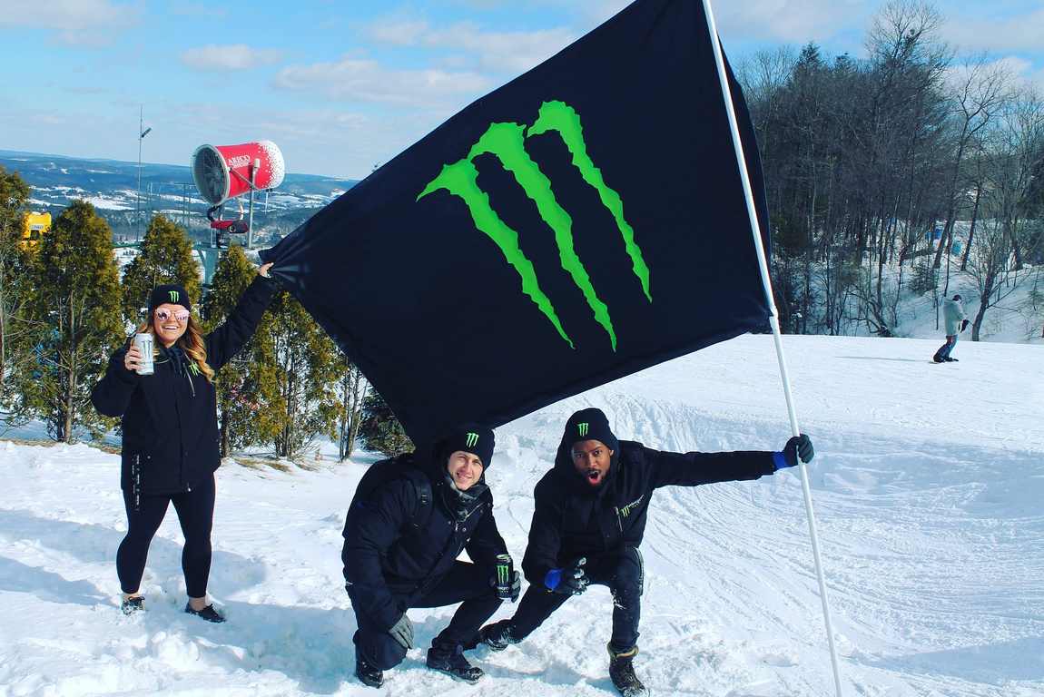 Winter activation, 2017